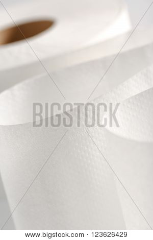 One White Toilet Paper Roll