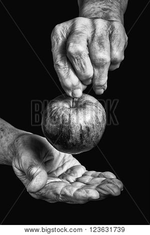Old hands holding an apple on black background