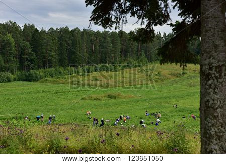 VALAAM ISLAND, RUSSIA - JULY 29, 2015: Volunteers working in the Valaam monastery. After a year or two, the volunteer may became the novice