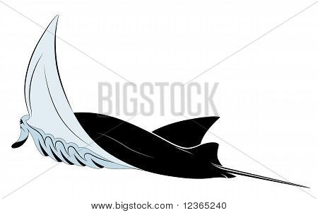 Manta Ray, tetování