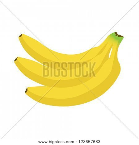 Banana, fruit vector illustration in flat style. Three yellow bananas on white background. Banana icon.  Banana logo