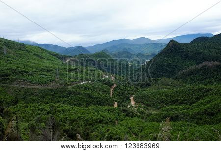 Ho Chi Minh Trail, Forest, Mountain, Terrain