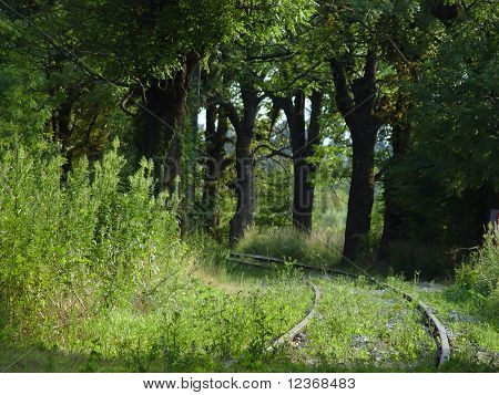 tren yolu izle