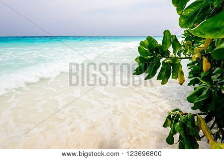 Sea beach in Koh Tachai island Thailand.