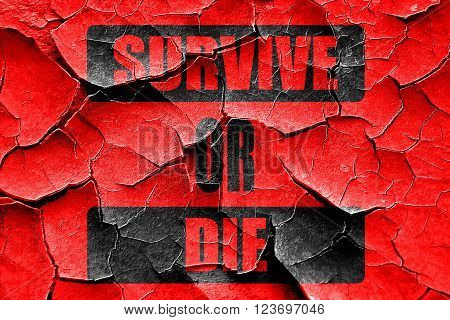 Grunge cracked survive or die sign with some soft flowing lines