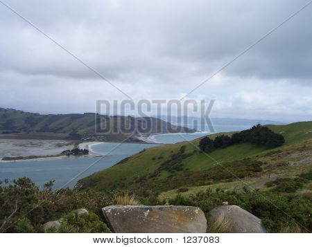 Penisola di Otago, In Nuova Zelanda