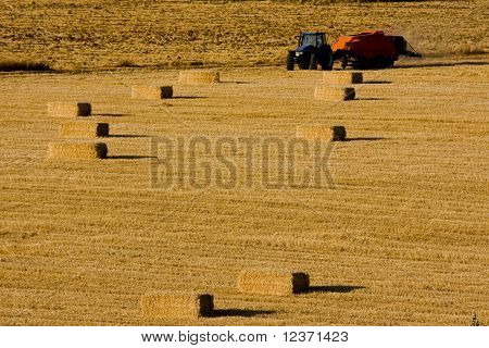 farmář