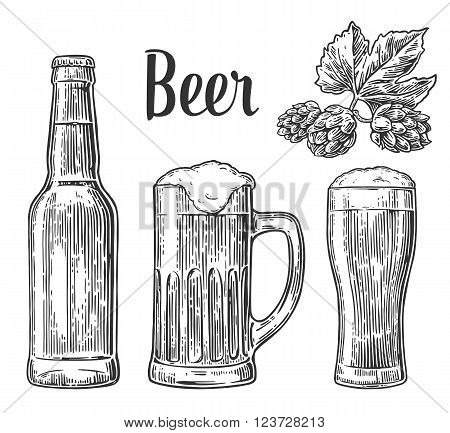 Beer glass mug bottle hop. Vector vintage engraved illustration isolated on white background