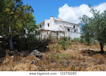 Country finca near Rio Gordo Malaga Province Andalusia Spain Western Europe.