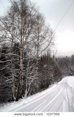 Winter Road