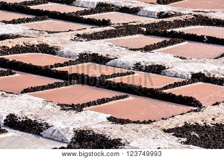 Picture Photo of Salt Flats in the Canry islands
** Note: Visible grain at 100%, best at smaller sizes