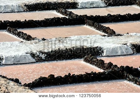 Picture Photo of Salt Flats in the Canry islands