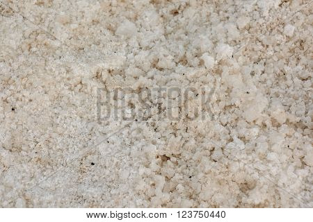 Picture Photo of Salt Flats in the Canry islands