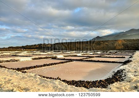 Picture Photo of Salt Flats in the Canry islands
** Note: Soft Focus at 100%, best at smaller sizes