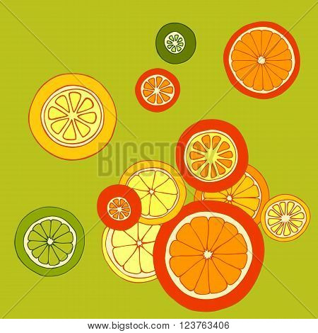 Collection of citrus slices - orange, lemon, lime and grapefruit, citrus card, vector illustration