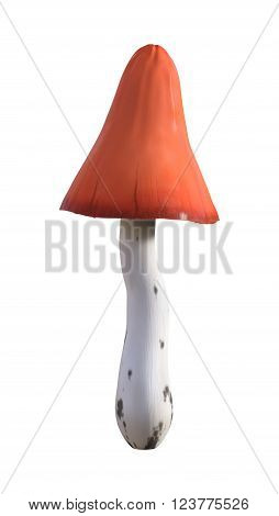 3D illustration of a mushroom isolated on white background