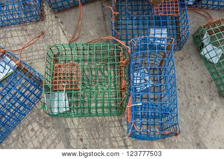 Plastic Octopus traps and molluscs. With shiny bait.