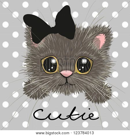 Cute british kitten isolated on a dots background