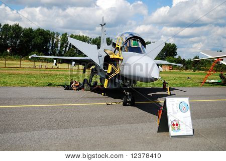 RADOM, Lengyelország - augusztus 31: a Gripen. Nemzetközi légi bemutatók-AIR SHOW 2009 augusztus 31, 2009-ben