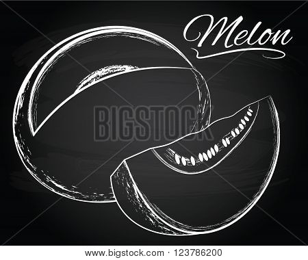 Tasty vector melon illustration on the chalkboard background