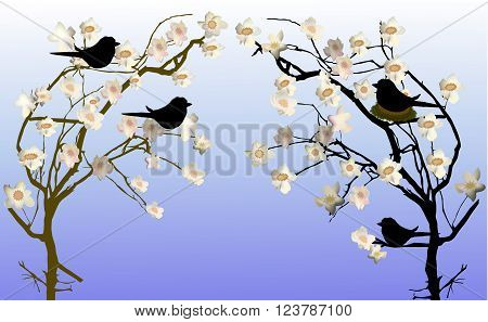 Spring flowering trees with a nest and silhouettes of birds