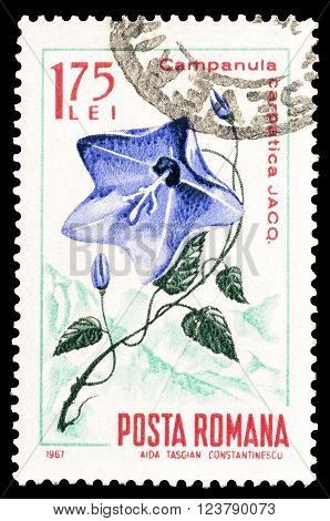 ROMANIA - CIRCA 1967 : Cancelled postage stamp printed by Romania, that shows Carpathian Harebell.