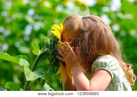 Happy little girl smelling a sunflower on the field in summer.