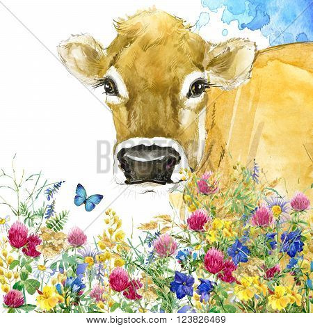 Cow. Cow watercolor illustration. Milking Cow Breed.