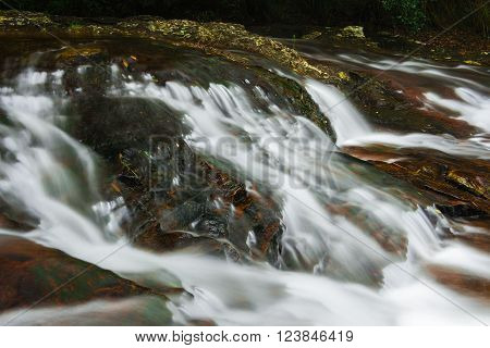 Goomoolahra creek at Springbrook National Park in Queensland.