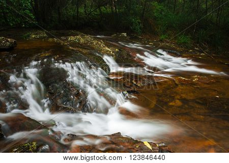 Goomoolahra creek at Springbrook National Park in Queensland.
