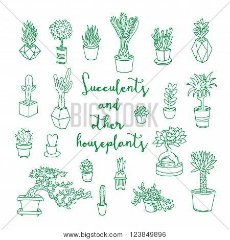 Succulents and other houseplants. Doodle set. Isolated