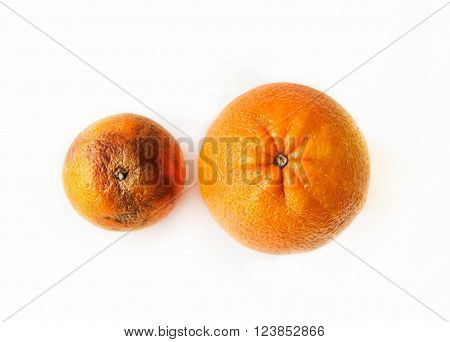 Two oranges - fresh ripe and ugly rotten top view on white background