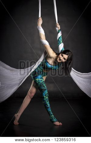 Aerialist Doing Tricks On Silks