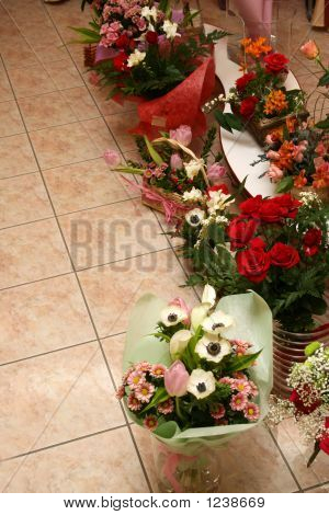 Loja de flores