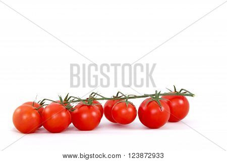 Fresh ripe cherry tomatoes on branch against white background