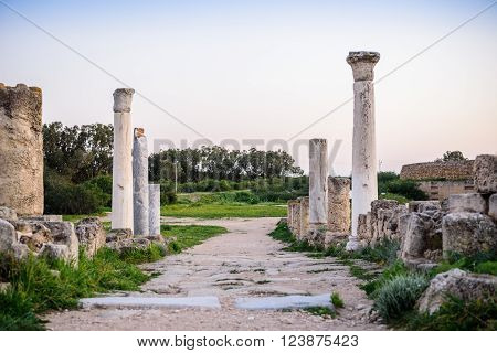 Ancient city of Salamis located in eastern part of Cyprus.