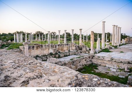 Ancient City Of Salamis Located In Cyprus.