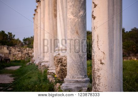 Pillars In Ancient City Of Salamis, Cyprus.
