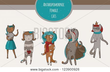 Set of beautiful cat female characters hand-drawn fun kind and cheerful. Vector illustration with isolated on white anthropomorphous animals suitable for mascot using or other design.