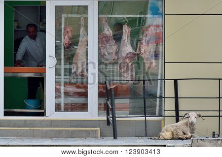 BAKU, AZERBAIJAN - MARCH 03 2014: A sheep tied up outside a butcher's shop awaiting slaughter, a familiar scene even in parts of the capital