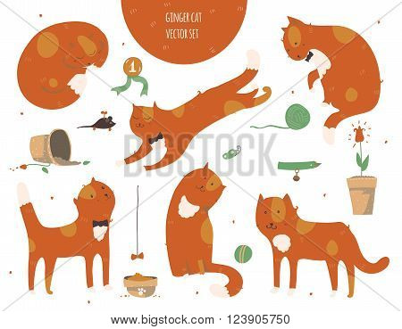 Set of kind funky ginger cats isolated on white fun stylish. Vector illustration with cat accessories - food toys broken flower. Kittens are playing jumping sleeping and watching at butterfly.