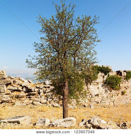 From The Hill In Asia Turkey Selge Old Architecture Ruins And Nature