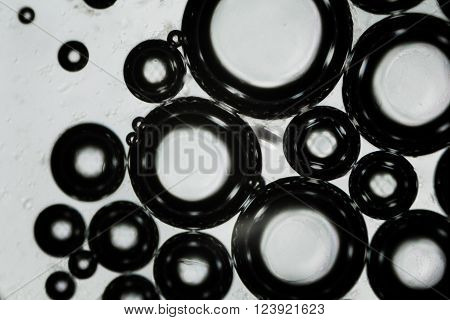 Water Bubbles Under The Microscope