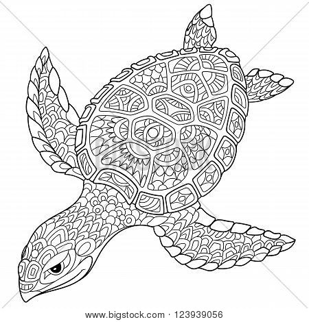Zentangle stylized cartoon turtle isolated on white background. Hand drawn sketch for adult antistress coloring page T-shirt emblem logo or tattoo with doodle zentangle floral design elements.