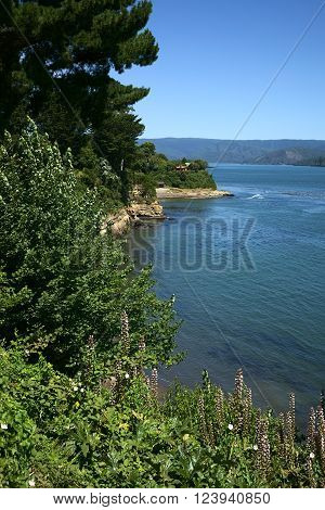 Bank of the Valdivia river at Niebla Chile. Niebla is a small town close to the city of Valdivia and is a popular tourist destination for its beach and fort.