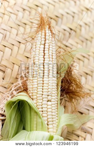 Photograph of a raw corn plant on a petate