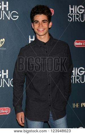LOS ANGELES - MAR 29:  Cameron Boyce at the High Strung Premiere at the TCL Chinese 6 Theaters on March 29, 2016 in Los Angeles, CA