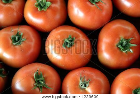 Tomates