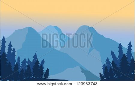 View of the mountain ice and spruce at sunrise