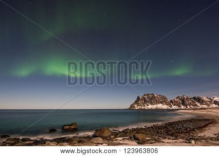 Northern lights over the sea at Utakleiv Beach Lofoten Islands Norway in the winter.
** Note: Soft Focus at 100%, best at smaller sizes